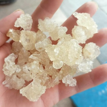 雪燕/拉丝雪燕纯度高干净一手货源基地直供品质优可视频看货