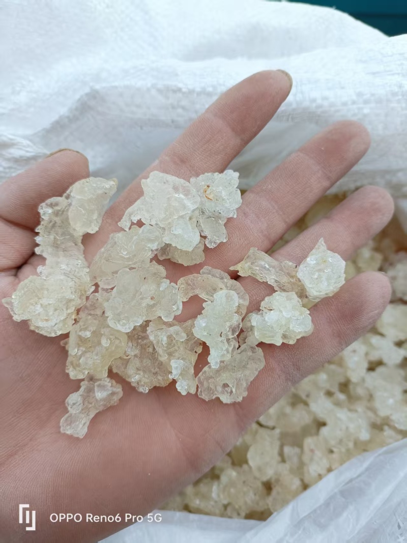 雪燕/拉丝雪燕纯度高干净一手货源基地直供品质优可视频看货