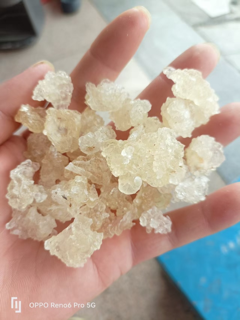 雪燕/拉丝雪燕纯度高干净一手货源基地直供品质优可视频看货