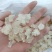 雪燕/拉丝雪燕纯度高干净一手货源基地直供品质优可视频看货