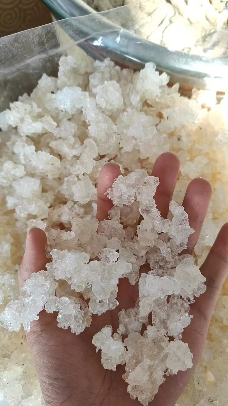 雪燕/拉丝雪燕纯度高干净一手货源基地直供品质优可视频看货
