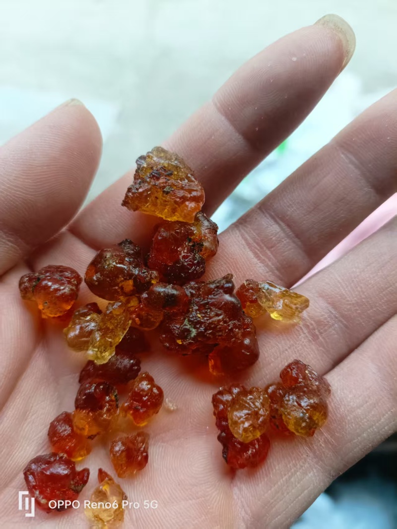 甜品奶茶**桃胶珍珠中小精品颗粒一手货源充足品质优