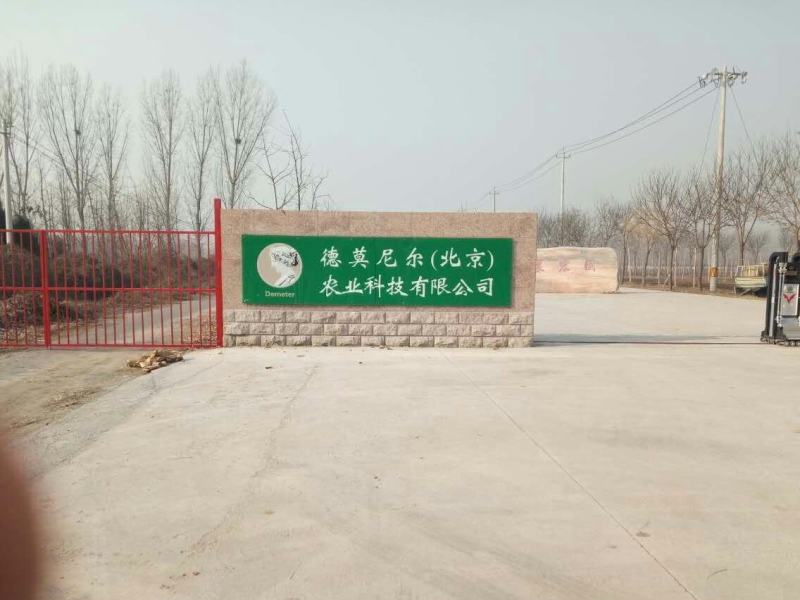 卡门啤梨/洋梨/水果梨/香甜软糯多汁/可视频看货
