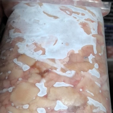 鱼白