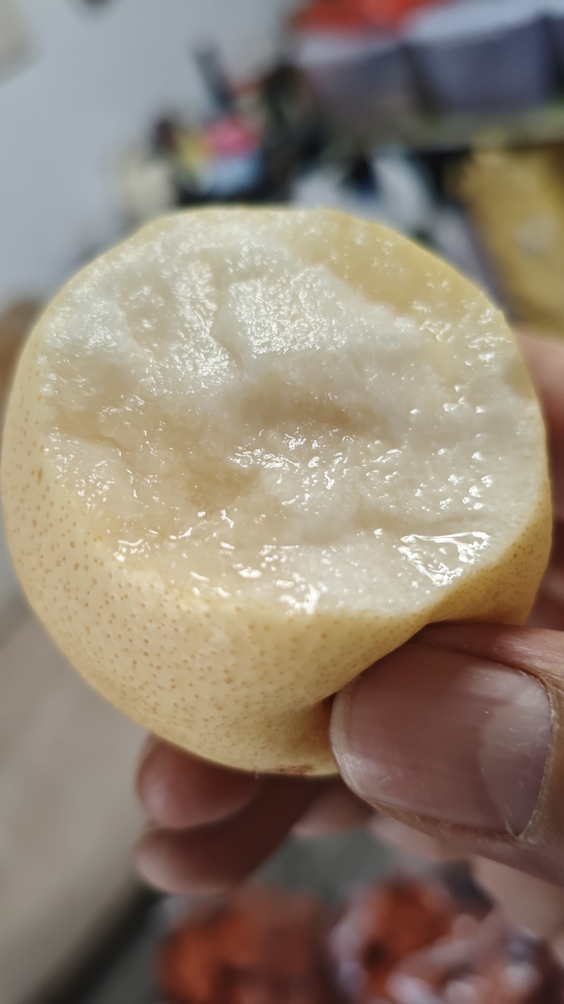 山西蜂蜜梨