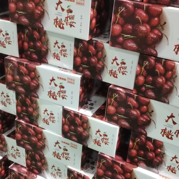 一件代发～山东美早大樱桃～先锋樱桃～红灯樱桃日发量大