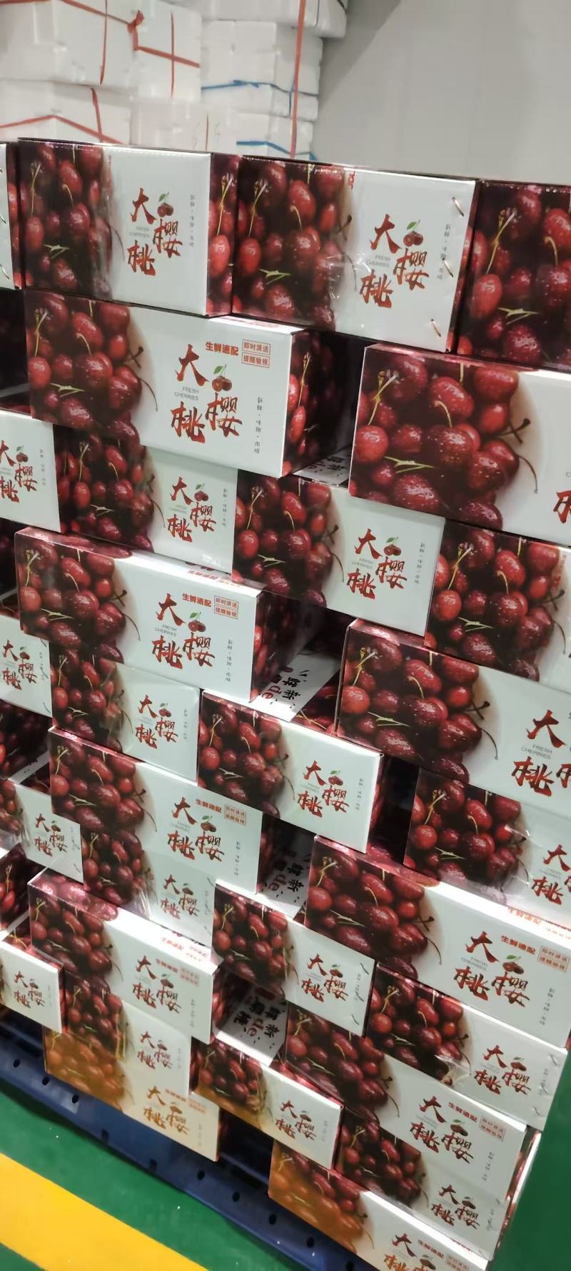 一件代发～山东美早大樱桃～先锋樱桃～红灯樱桃日发量大