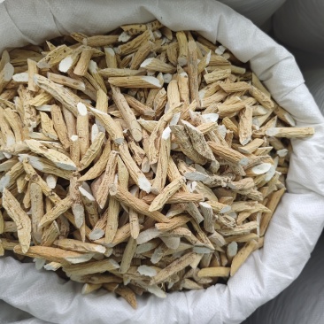 货源充足牛大力批发量大从优欢迎联系诚信经营