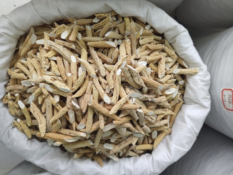 货源充足牛大力批发量大从优欢迎联系诚信经营