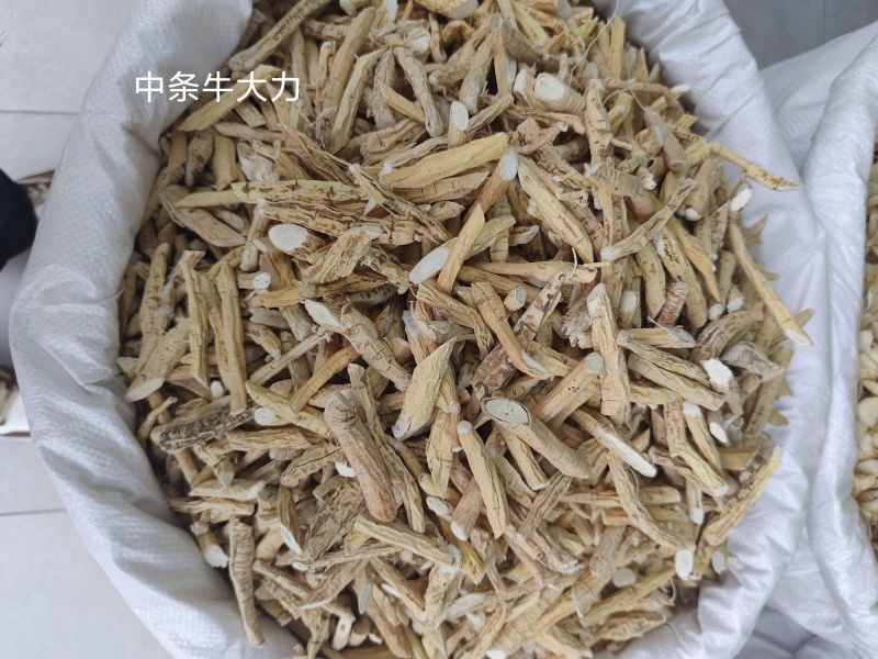 货源充足牛大力批发量大从优欢迎联系诚信经营