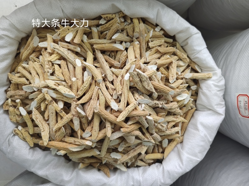 货源充足牛大力批发量大从优欢迎联系诚信经营