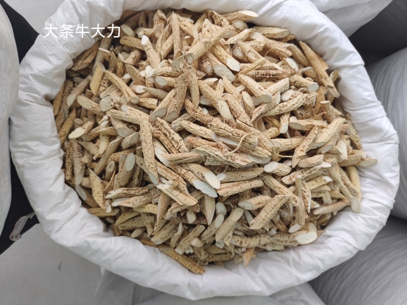 货源充足牛大力批发量大从优欢迎联系诚信经营