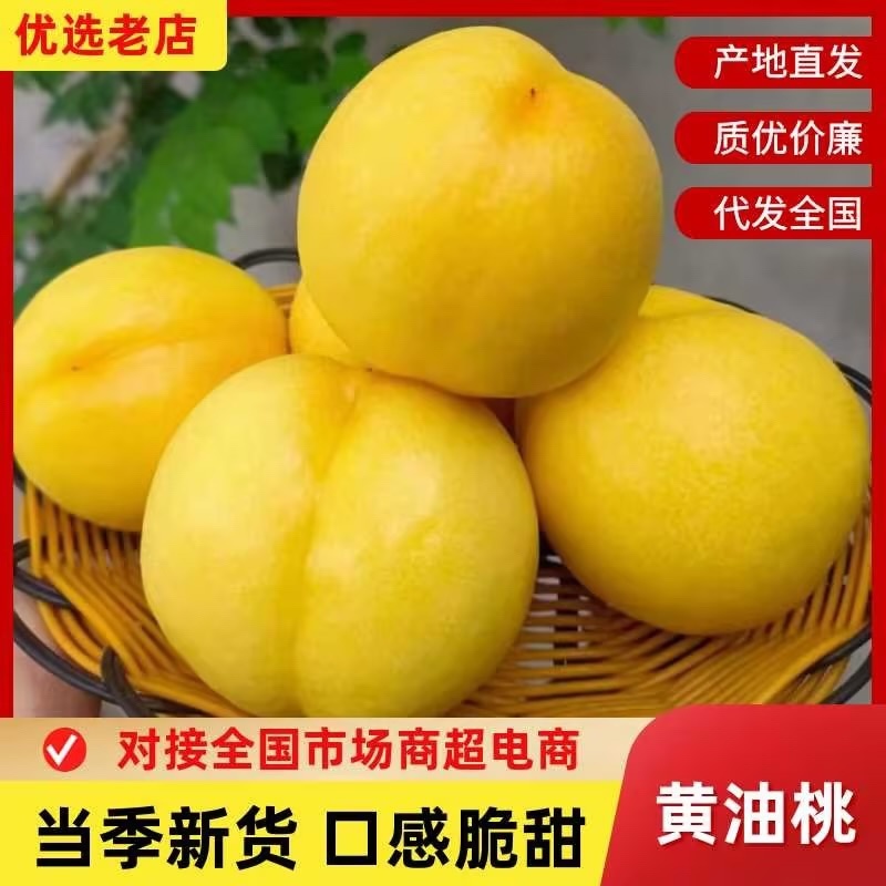 黄桃油桃湖北量大优惠精品油桃