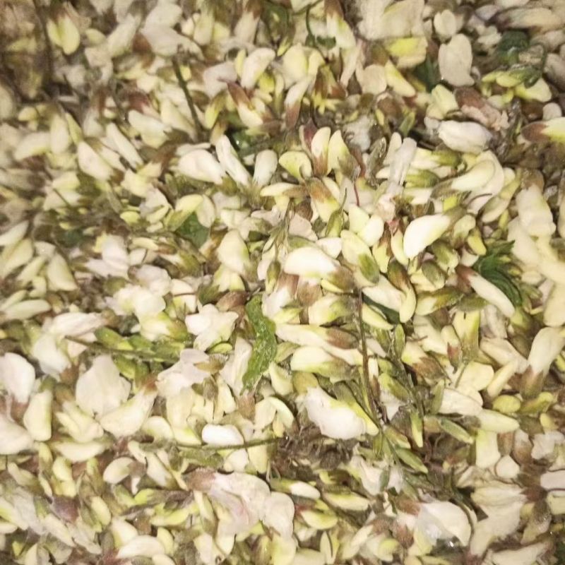 优选槐花现货速发一手货源产地直发量大从优