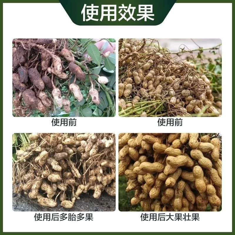 花生膨大丰产粒粒饱花生专用叶面肥分杈下针增产膨果肥