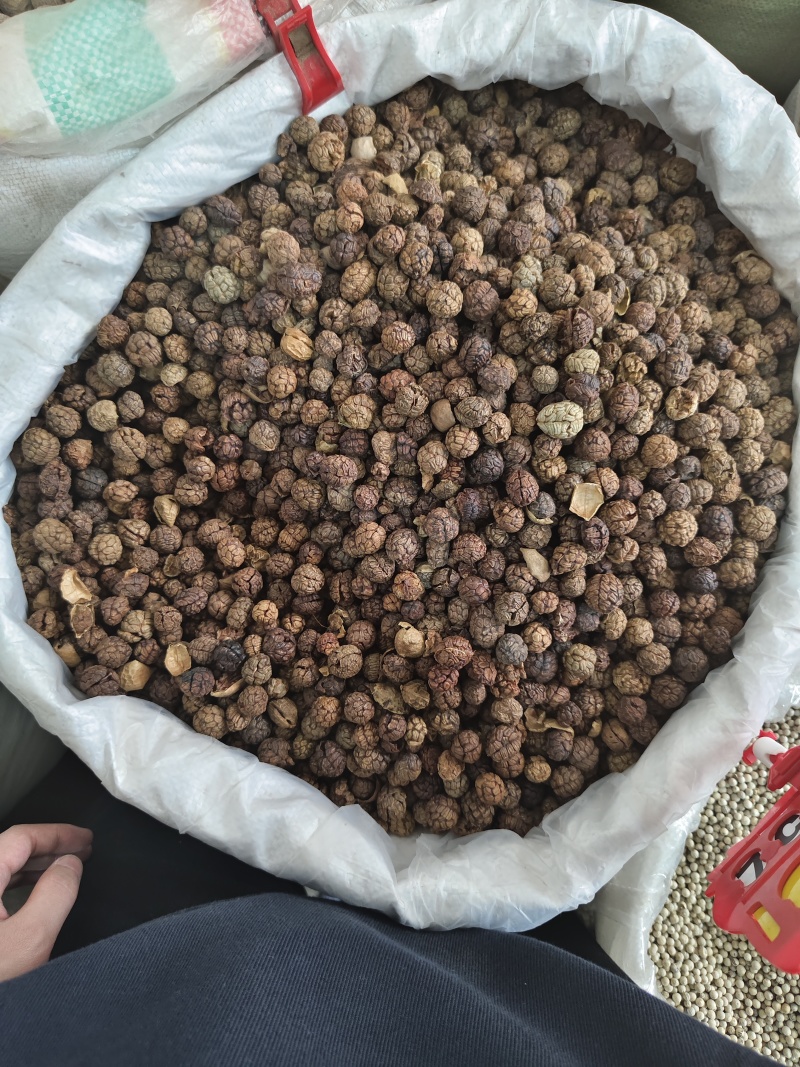 海南特产草寇5斤包邮烧烤调料香佐料磨粉豆卤料家用
