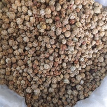 海南特产草寇5斤包邮烧烤调料香佐料磨粉豆卤料家用