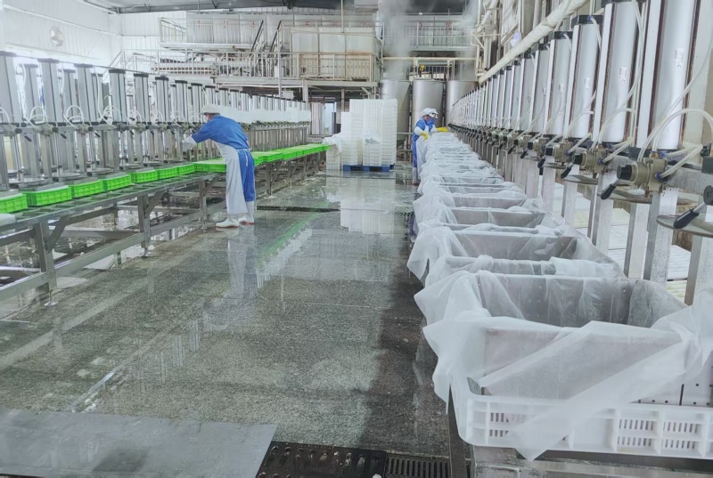 豆腐【厂家直销】量大可代加工