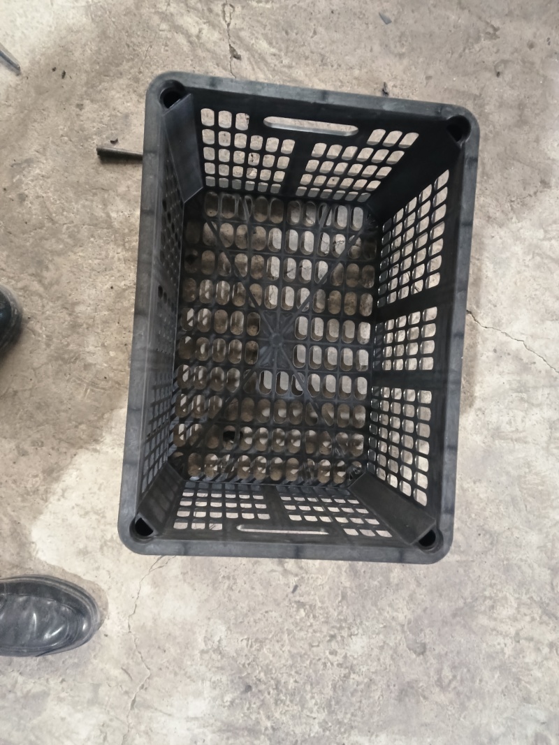 鸭蛋筐水果筐厂家直发