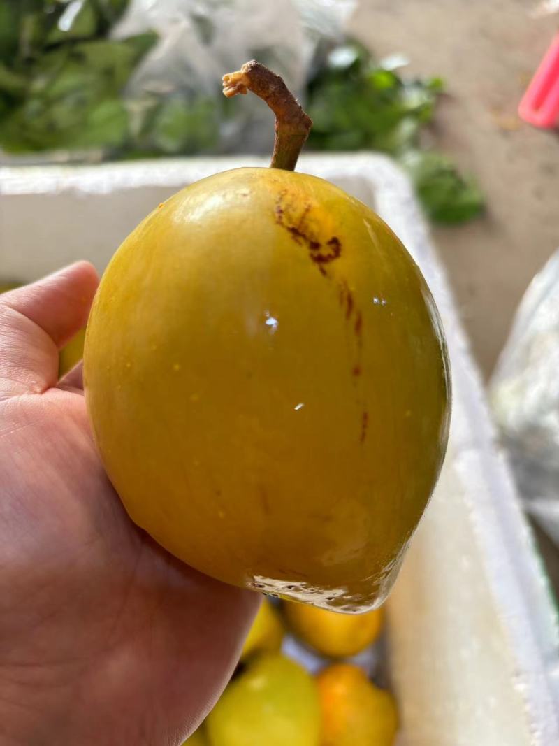 蛋黄果鸡蛋果