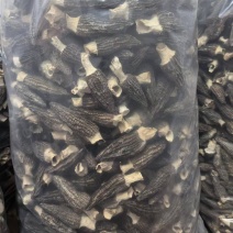 贵州羊肚菌，产地直发，欢迎老板视频看货
