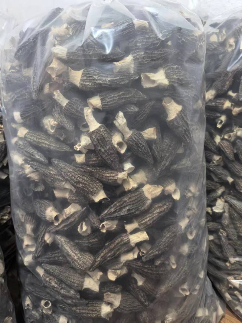 贵州羊肚菌，产地直发，欢迎老板视频看货