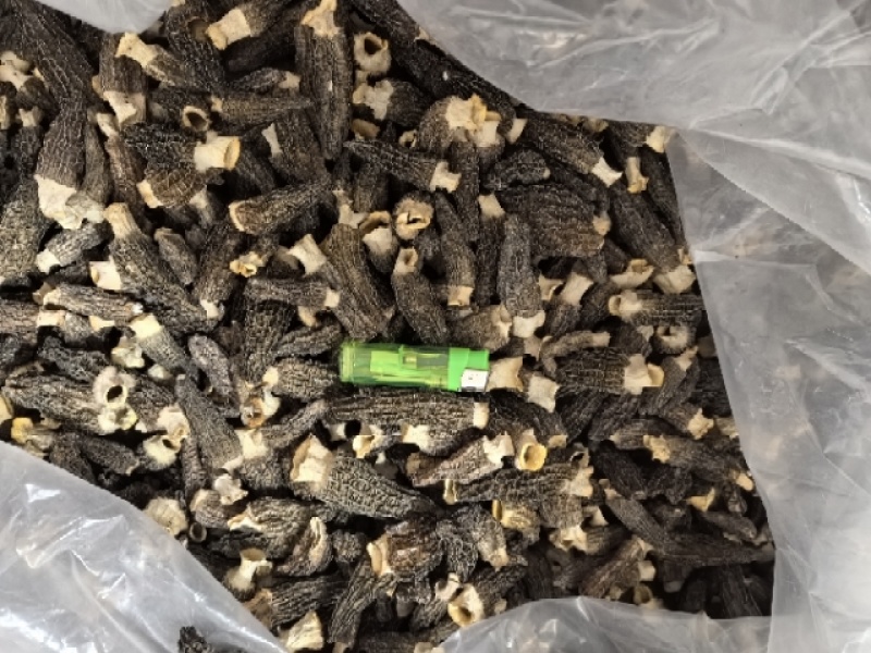 贵州羊肚菌，产地直发，欢迎老板视频看货