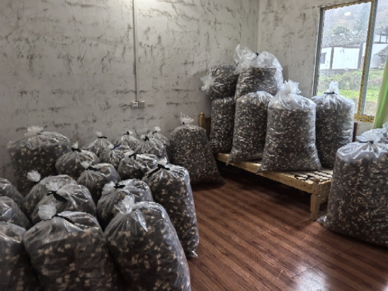 贵州羊肚菌，产地直发，欢迎老板视频看货