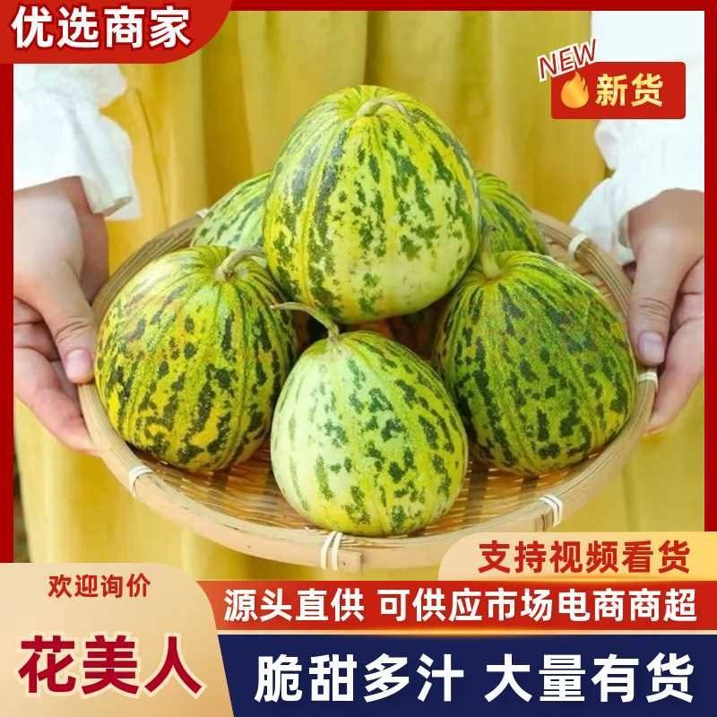 河南内黄花美人大量上市，货源充足，代发全国各地。
