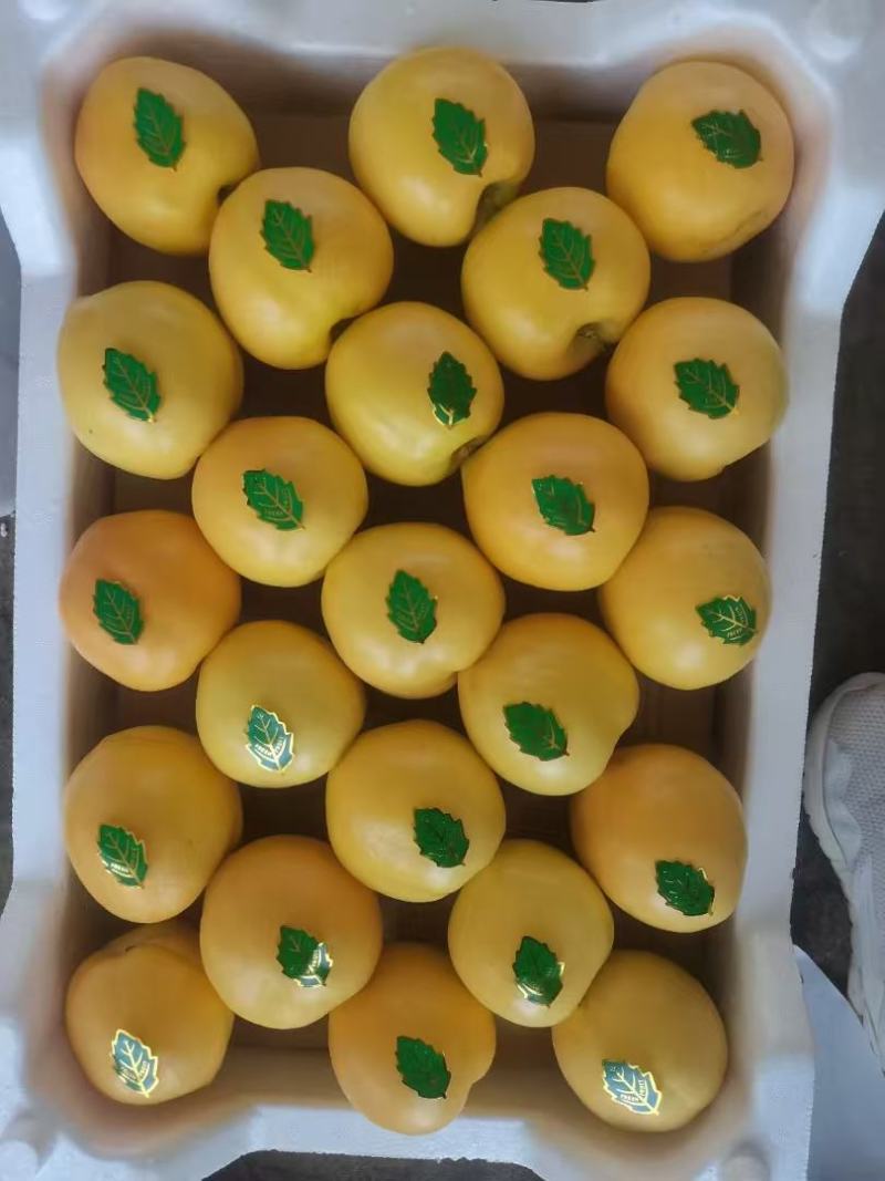 辽南精品黄油桃，产地一手货源，量大价优欢迎随时联系看货
