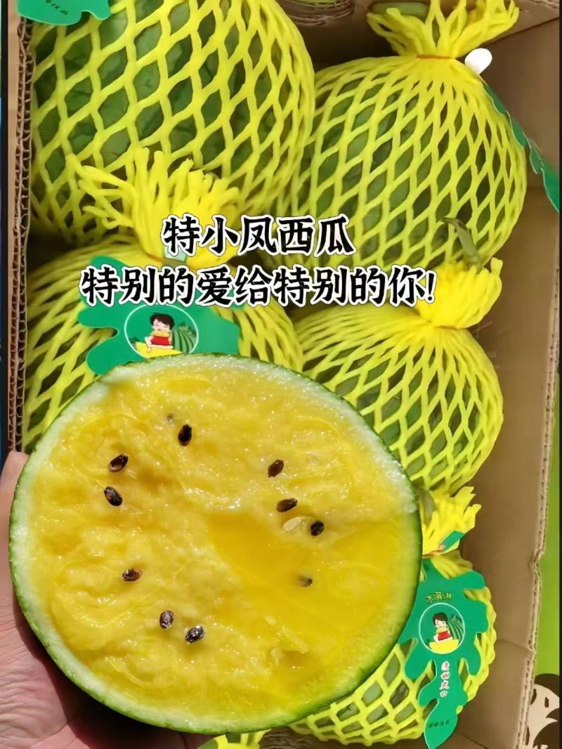 特小凤西瓜大量供应品质优新鲜欢迎咨询来电可视频看货