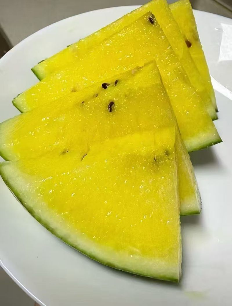 特小凤西瓜大量供应品质优新鲜欢迎咨询来电可视频看货