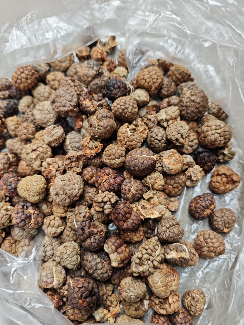 大草蔻草豆蔻中草蔻小草蔻草扣调味料