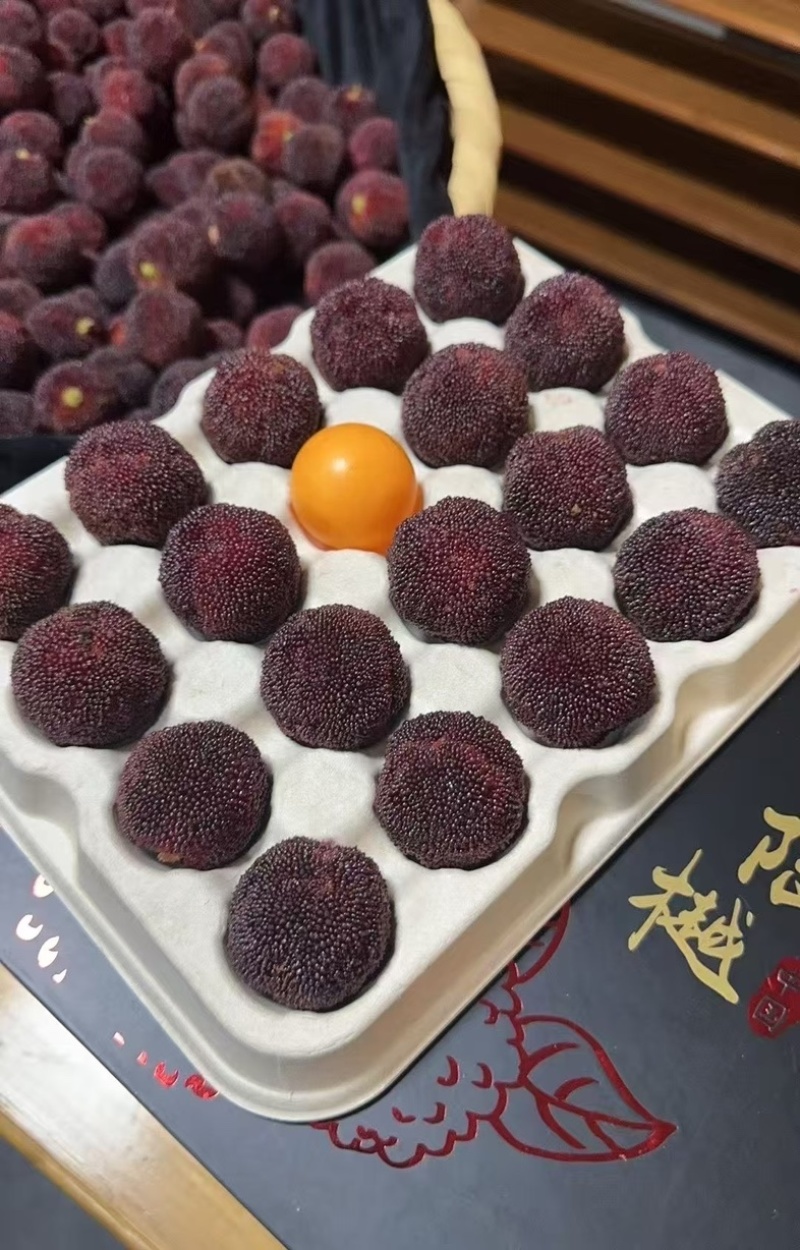 仙居东魁杨梅果园直销现摘现发批发零售