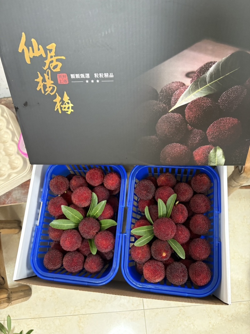 仙居东魁杨梅果园直销现摘现发批发零售
