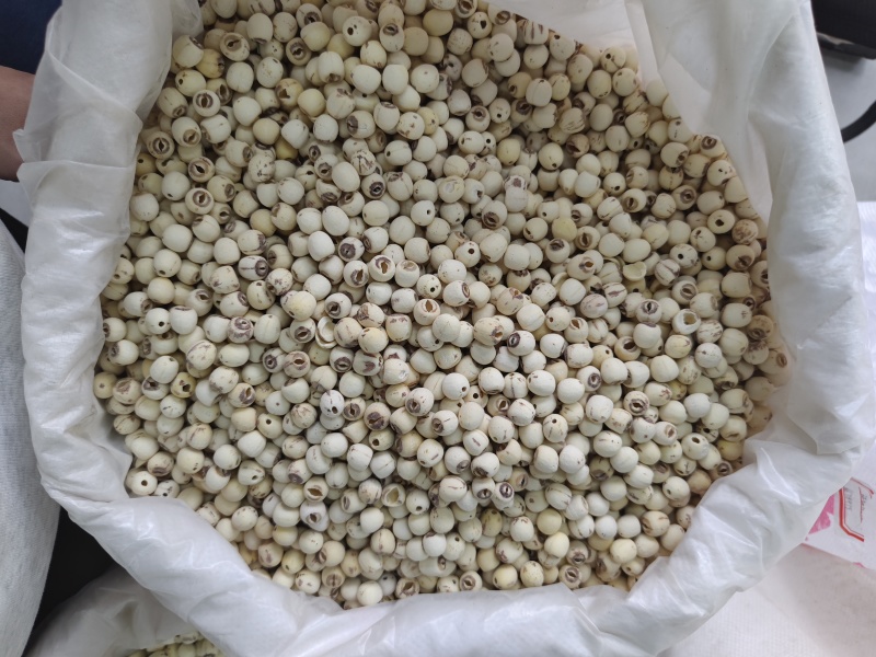 去芯带芯白莲子产地供应去芯带芯白莲子量大从优