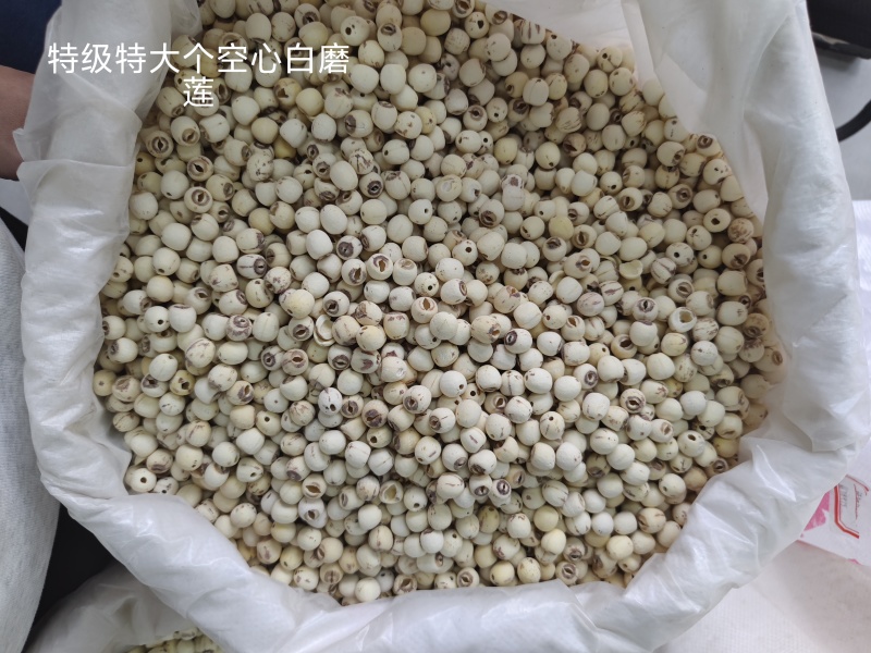 去芯带芯白莲子产地供应去芯带芯白莲子量大从优