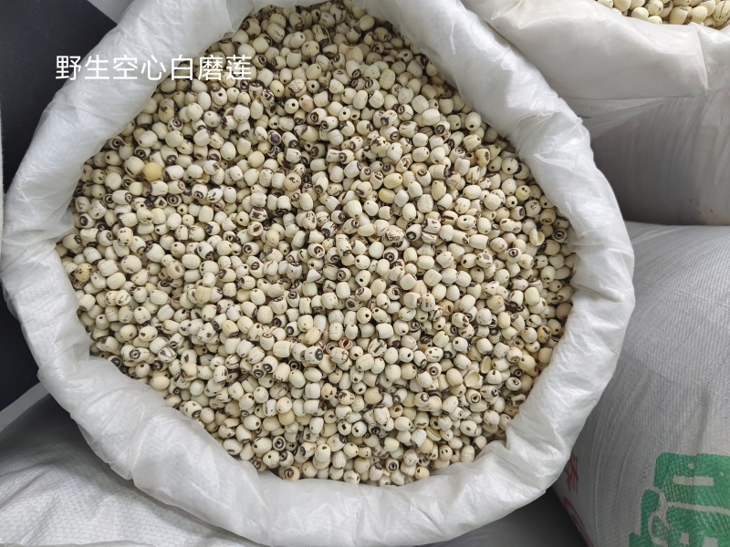 去芯带芯白莲子产地供应去芯带芯白莲子量大从优