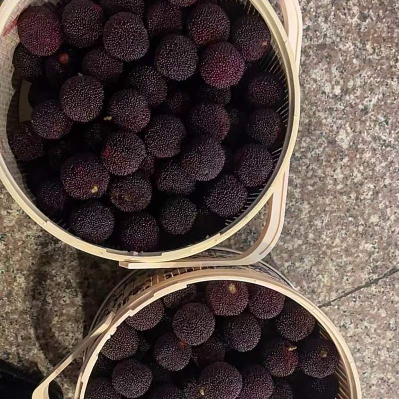 杨梅一件代发价格便宜精品杨梅普通杨梅都可以做