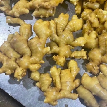 大量上市大黄姜货量充足产地直发价格**优美
