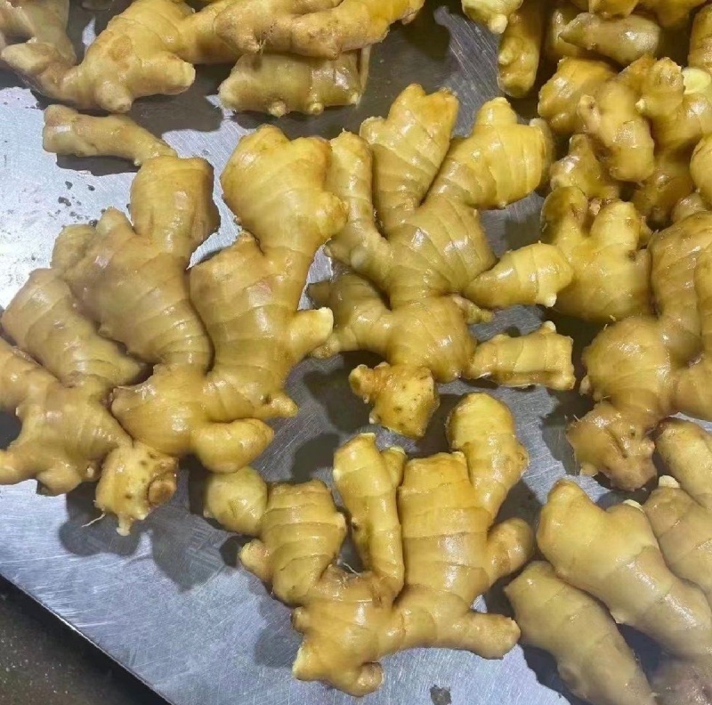 大量上市大黄姜货量充足产地直发价格**优美