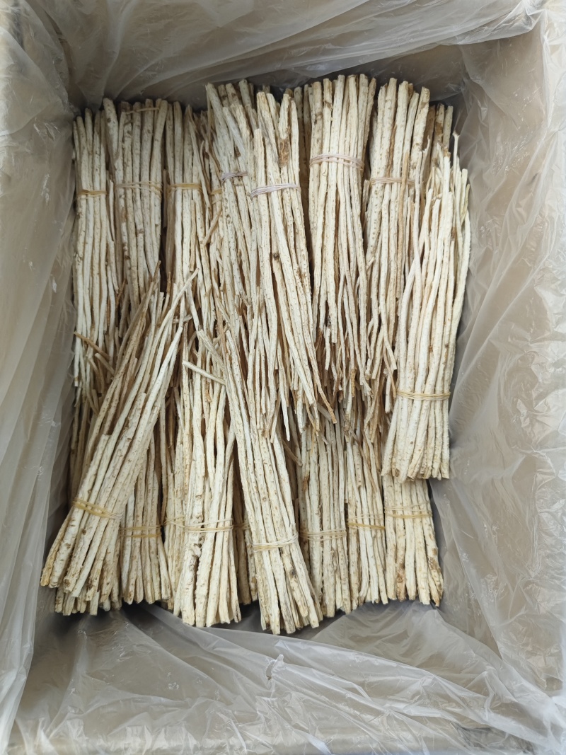 北沙参内蒙特选货长捆把各种新货大量上市