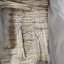 北沙参内蒙特选货长捆把各种新货大量上市