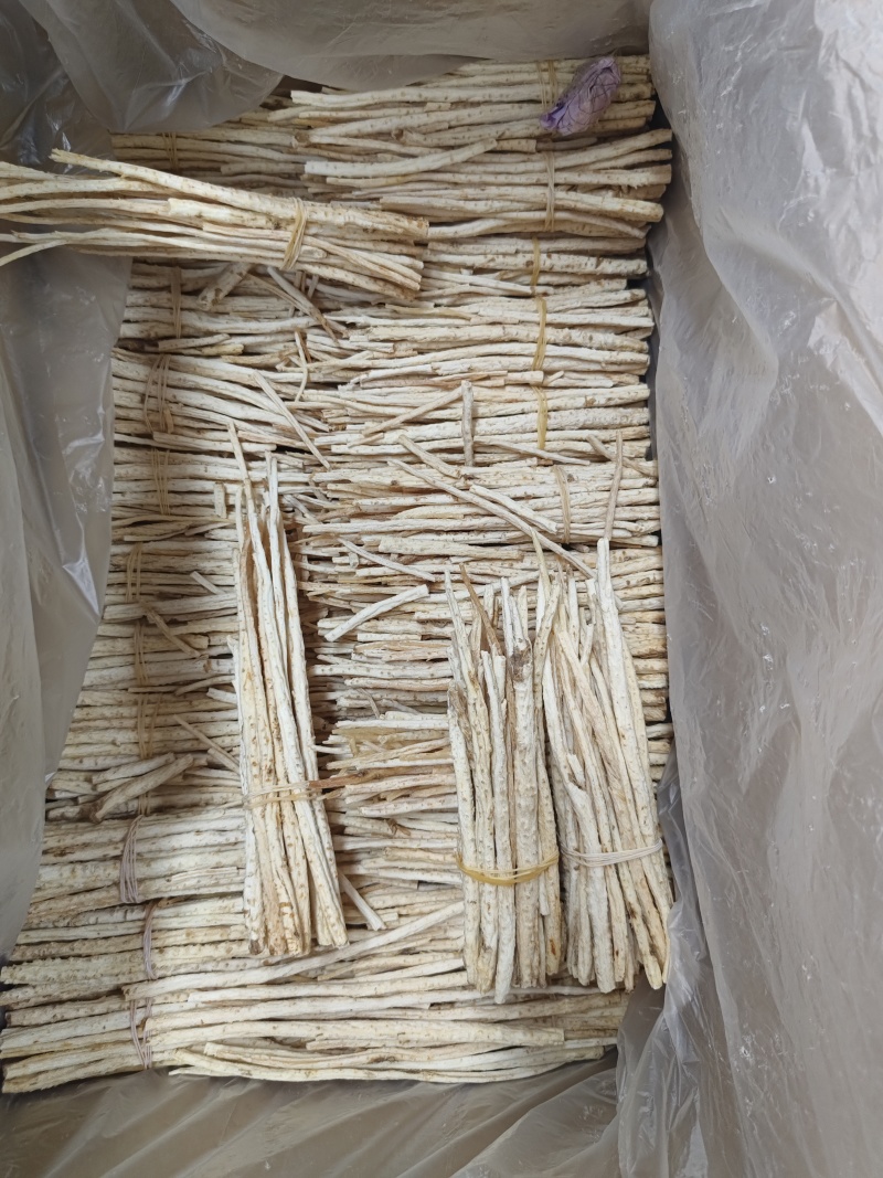 北沙参内蒙特选货长捆把各种新货大量上市