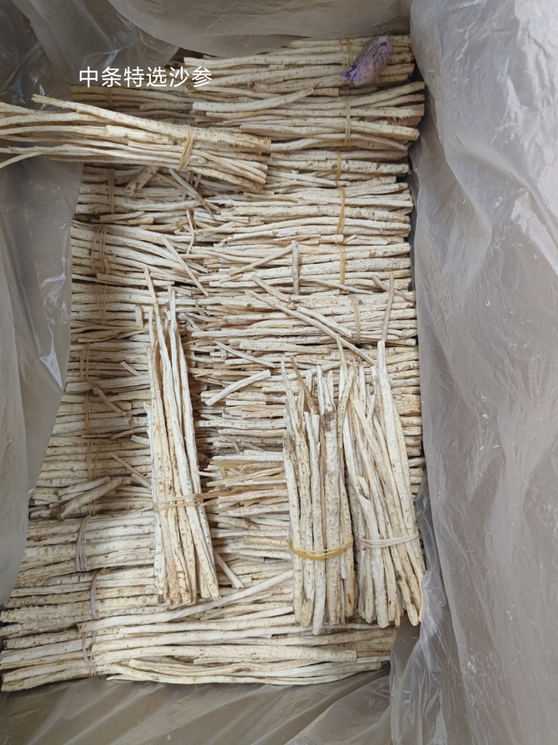 北沙参内蒙特选货长捆把各种新货大量上市