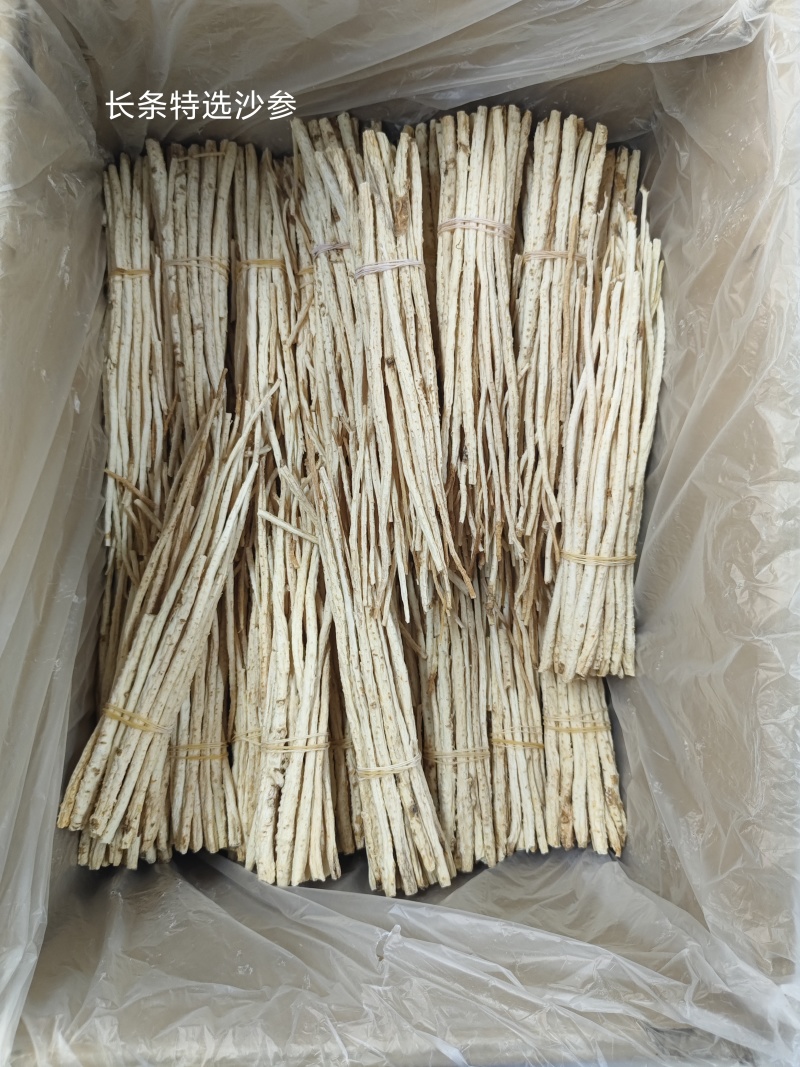 北沙参内蒙特选货长捆把各种新货大量上市
