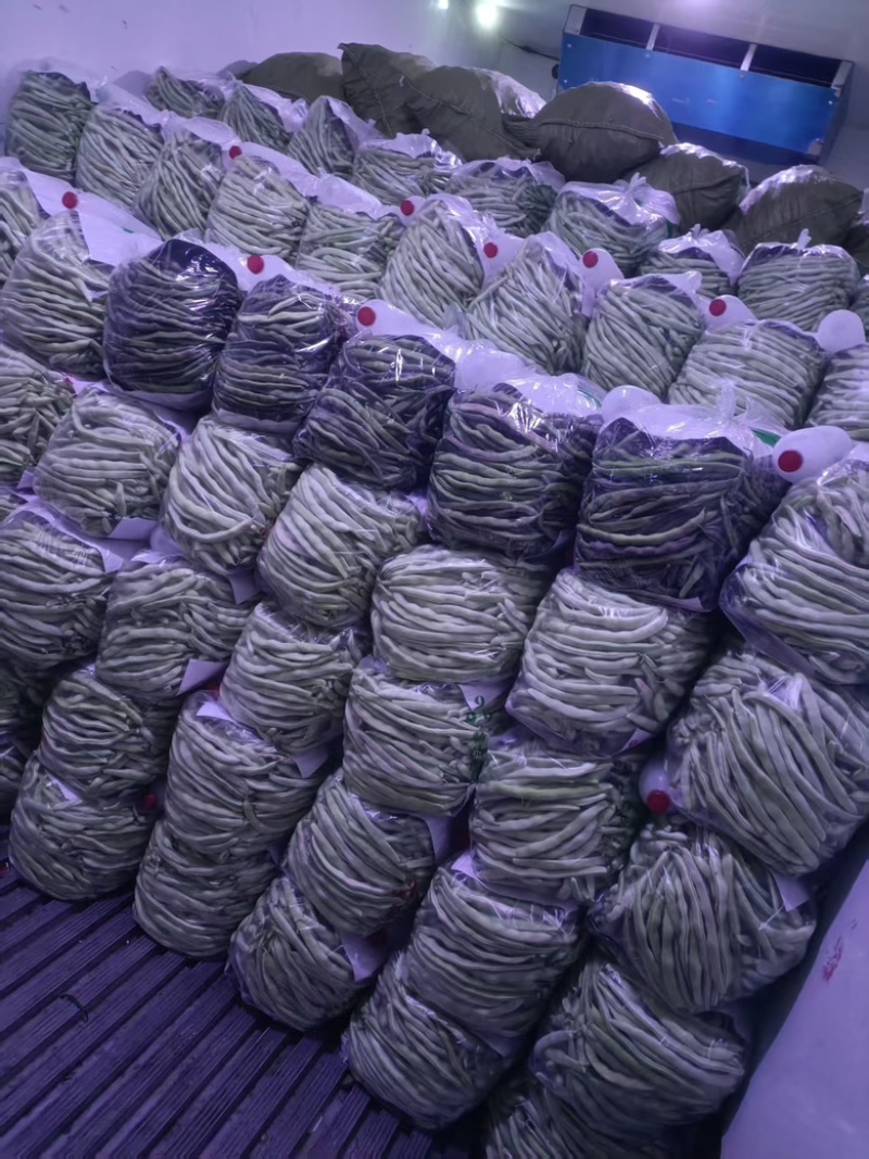 精品红豆，基地大棚种植，产地直发品质有保障