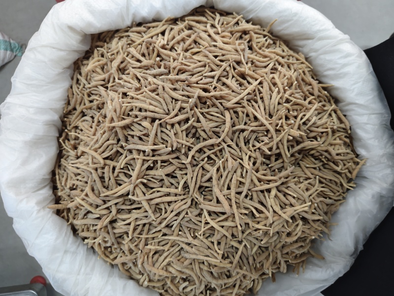 精品无硫太子参新干度净度颜色好量大从优