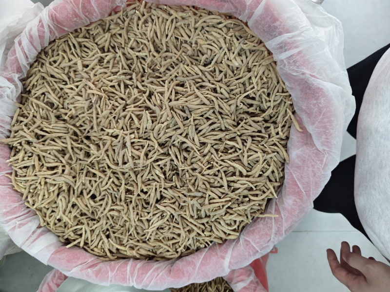 精品无硫太子参新干度净度颜色好量大从优