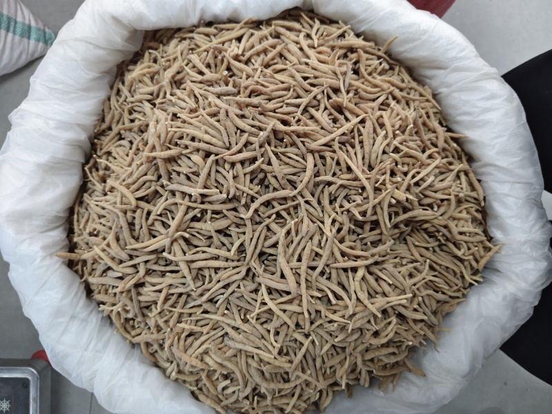 精品无硫太子参新干度净度颜色好量大从优